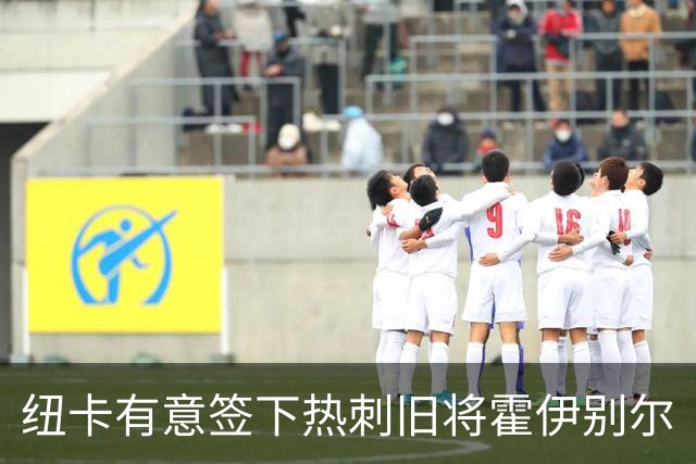 纽卡有意签下热刺旧将霍伊别尔